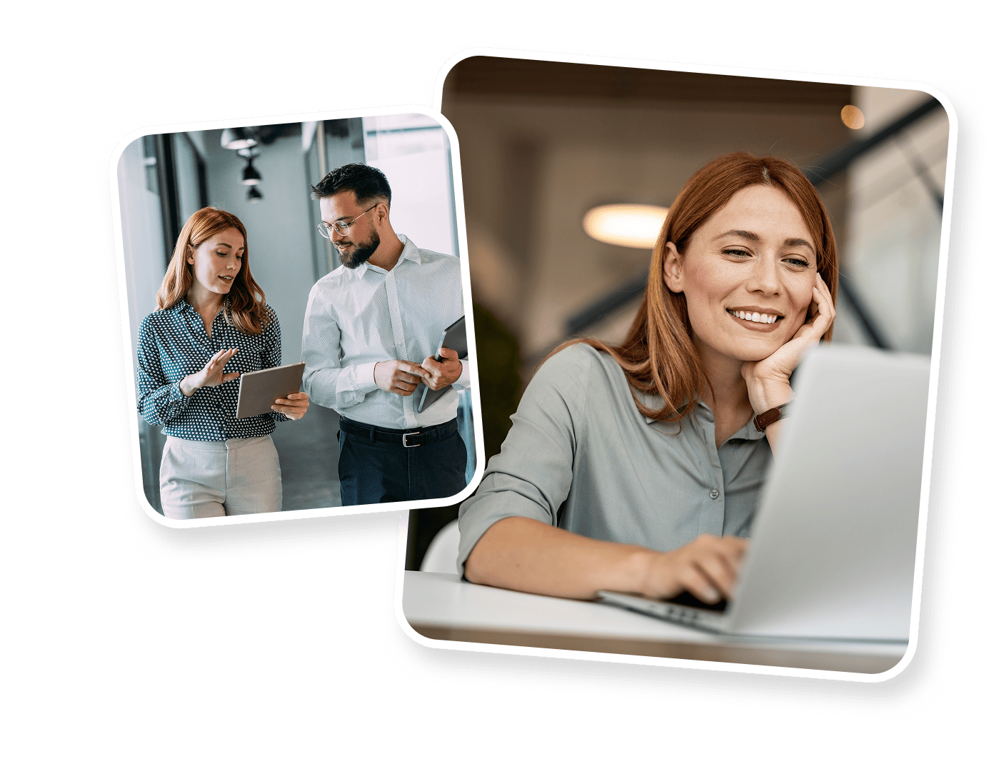 Illustration de la section